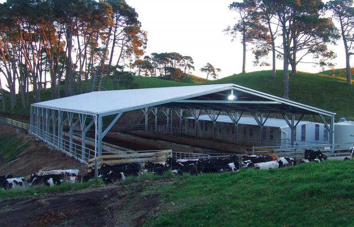 Dairy Shed Cover